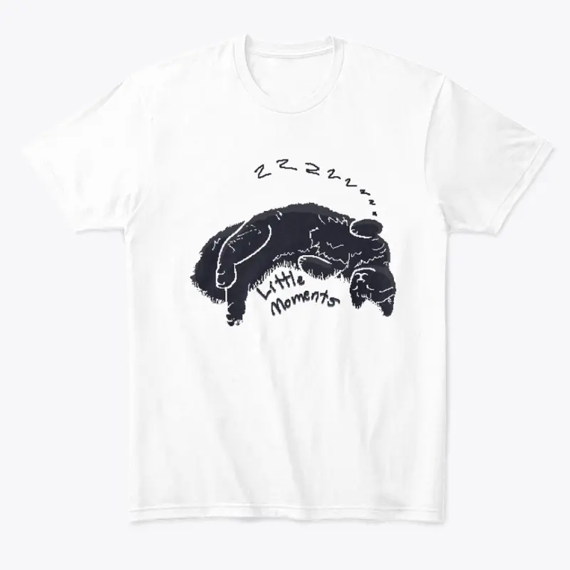 Little Moments Album merch